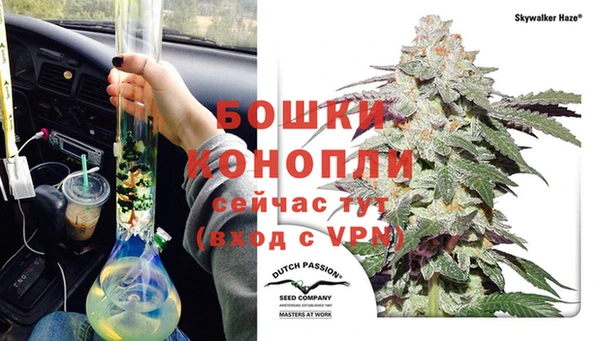 ECSTASY Дмитриев