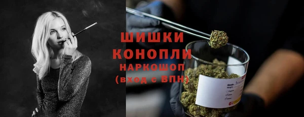 ECSTASY Дмитриев