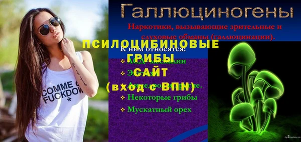 ECSTASY Дмитриев