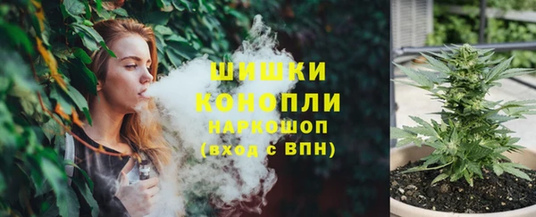 ECSTASY Дмитриев